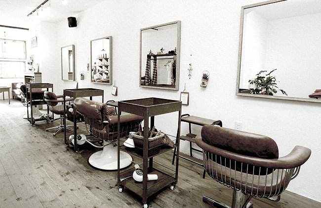 SALON CONCEPT
